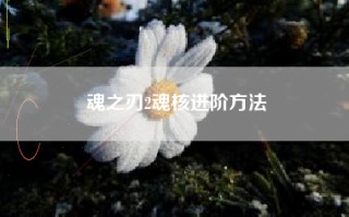 魂之刃2魂核进阶方法