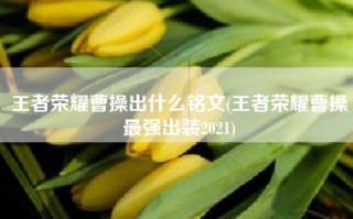 王者荣耀曹操出什么铭文(王者荣耀曹操最强出装2021)