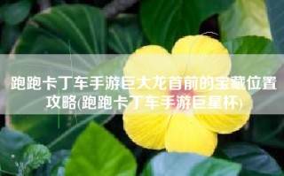 跑跑卡丁车手游巨大龙首前的宝藏位置攻略(跑跑卡丁车手游巨星杯)