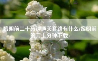 黎明前二十分钟通关套路有什么(黎明前的二十分钟下载)