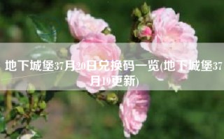 地下城堡37月20日兑换码一览(地下城堡37月19更新)