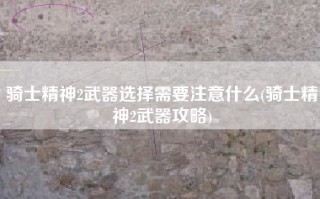骑士精神2武器选择需要注意什么(骑士精神2武器攻略)
