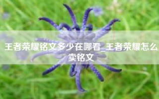 王者荣耀铭文多少在哪看_王者荣耀怎么卖铭文