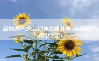 盗贼遗产2失踪尸体攻略分享 (盗贼遗产2传世之宝)