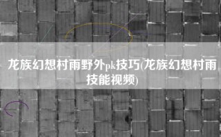 龙族幻想村雨野外pk技巧(龙族幻想村雨技能视频)
