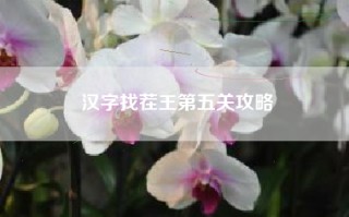 汉字找茬王第五关攻略