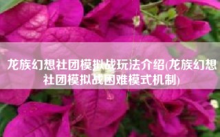 龙族幻想社团模拟战玩法介绍(龙族幻想社团模拟战困难模式机制)
