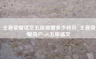 王者荣耀铭文五级需要多少碎片_王者荣耀商户wifi五级铭文