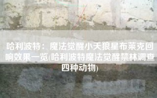 哈利波特：魔法觉醒小天狼星布莱克回响效果一览(哈利波特魔法觉醒禁林调查四种动物)