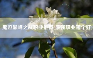 鬼泣巅峰之战职业推荐(最强职业哪个好)