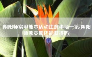 阴阳师富甲熊本活动注意事项一览(阴阳师熊本熊还能获得吗)