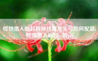 怪物猎人崛起转祸伏魔龙矢弓如何配装(怪物猎人崛起ns转pc)