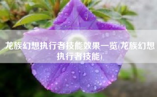 龙族幻想执行者技能效果一览(龙族幻想执行者技能)