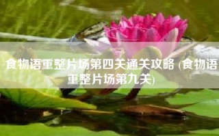食物语重整片场第四关通关攻略 (食物语重整片场第九关)