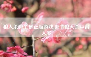 狼人杀哪个是正版游戏,哪个狼人杀平台人多