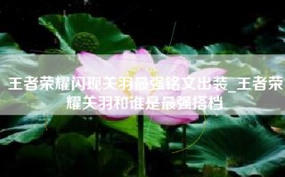 王者荣耀闪现关羽最强铭文出装_王者荣耀关羽和谁是最强搭档