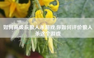 如何高级玩狼人杀游戏,你如何评价狼人杀这个游戏