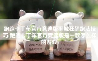 跑跑卡丁车官方竞速版狮城狂飙跑法技巧(跑跑卡丁车官方竞速版是一款怎么样的游戏)