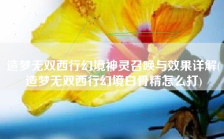 造梦无双西行幻境神灵召唤与效果详解(造梦无双西行幻境白骨精怎么打)
