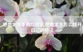 绝地求生手游切枪法,绝地求生怎么提升自己的枪法