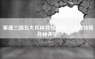 策魂三国五大兵种将领详解(三国魂特殊兵种声望)