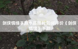 剑侠情缘手游水晶图片,如何评价《剑侠情缘》手游