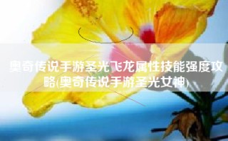 奥奇传说手游圣光飞龙属性技能强度攻略(奥奇传说手游圣光女神)