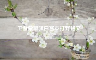 王者荣耀骚白宫本打野铭文