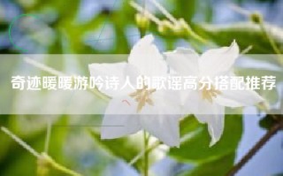 奇迹暖暖游吟诗人的歌谣高分搭配推荐