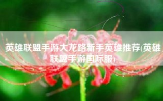 英雄联盟手游大龙路新手英雄推荐(英雄联盟手游国际服)