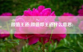 颜值王道(颜值即王道什么意思)