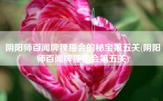 阴阳师百闻牌狸猫会的秘宝第五关(阴阳师百闻牌狸猫会第五关)