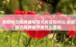 阴阳师百闻牌破甲毒火阵容如何玩(阴阳师百闻牌破甲是什么意思)
