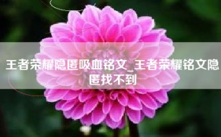王者荣耀隐匿吸血铭文_王者荣耀铭文隐匿找不到