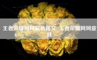 王者荣耀阿柯蓝色铭文_王者荣耀阿珂皮肤