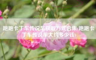 跑跑卡丁车传说车获取方式合集(跑跑卡丁车传说车大约多少钱)