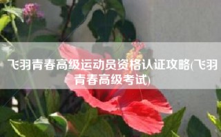 飞羽青春高级运动员资格认证攻略(飞羽青春高级考试)