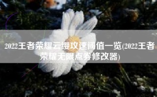 2022王者荣耀云缨攻速阈值一览(2022王者荣耀无限点券修改器)