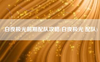 白夜极光前期配队攻略(白夜极光 配队)