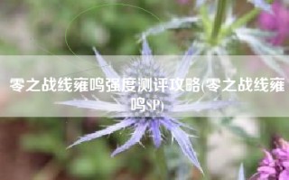零之战线雍鸣强度测评攻略(零之战线雍鸣SP)