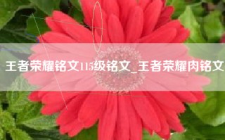 王者荣耀铭文115级铭文_王者荣耀肉铭文