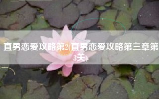 直男恋爱攻略第2(直男恋爱攻略第三章第3关)