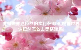 魔兽世界达拉然拍卖行在哪里(魔兽世界达拉然怎么去奥格瑞玛)