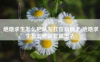 绝地求生怎么把队友扛在肩膀上(绝地求生怎么把队友踢出去)