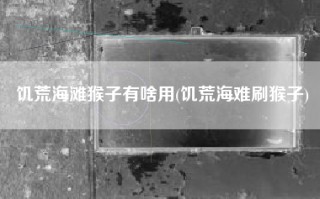 饥荒海滩猴子有啥用(饥荒海难刷猴子)