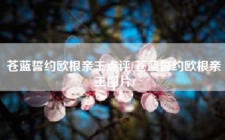 苍蓝誓约欧根亲王点评(苍蓝誓约欧根亲王图片)