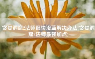 贪婪洞窟2法师很快没蓝解决办法(贪婪洞窟2法师最强加点)