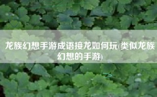 龙族幻想手游成语接龙如何玩(类似龙族幻想的手游)