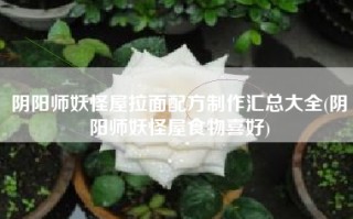 阴阳师妖怪屋拉面配方制作汇总大全(阴阳师妖怪屋食物喜好)