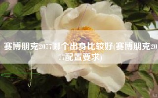 赛博朋克2077哪个出身比较好(赛博朋克2077配置要求)